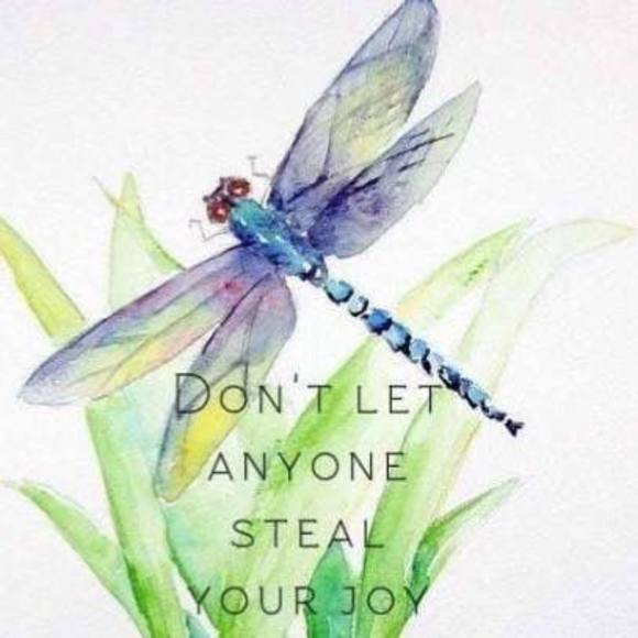 Meet your Posher, Emmie - Picture 1 of 1